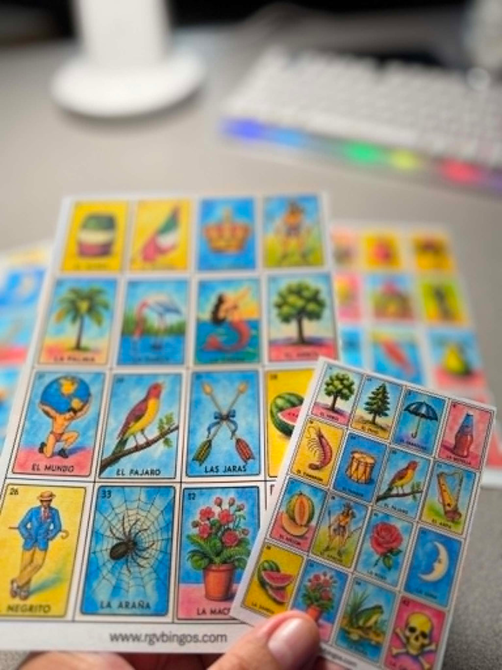 Printed & Laminated Loteria Cards Approximate size 5x7 Inches NO Repeats