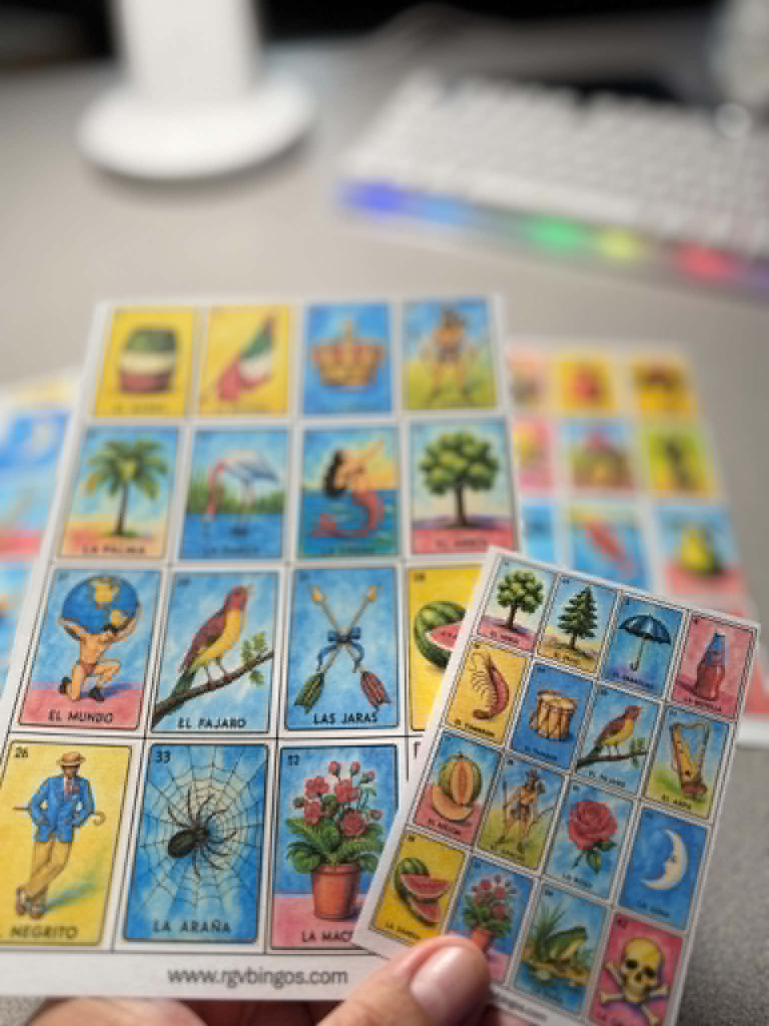 Printed & Laminated Loteria Cards Approximate size 5x7 Inches NO Repeats