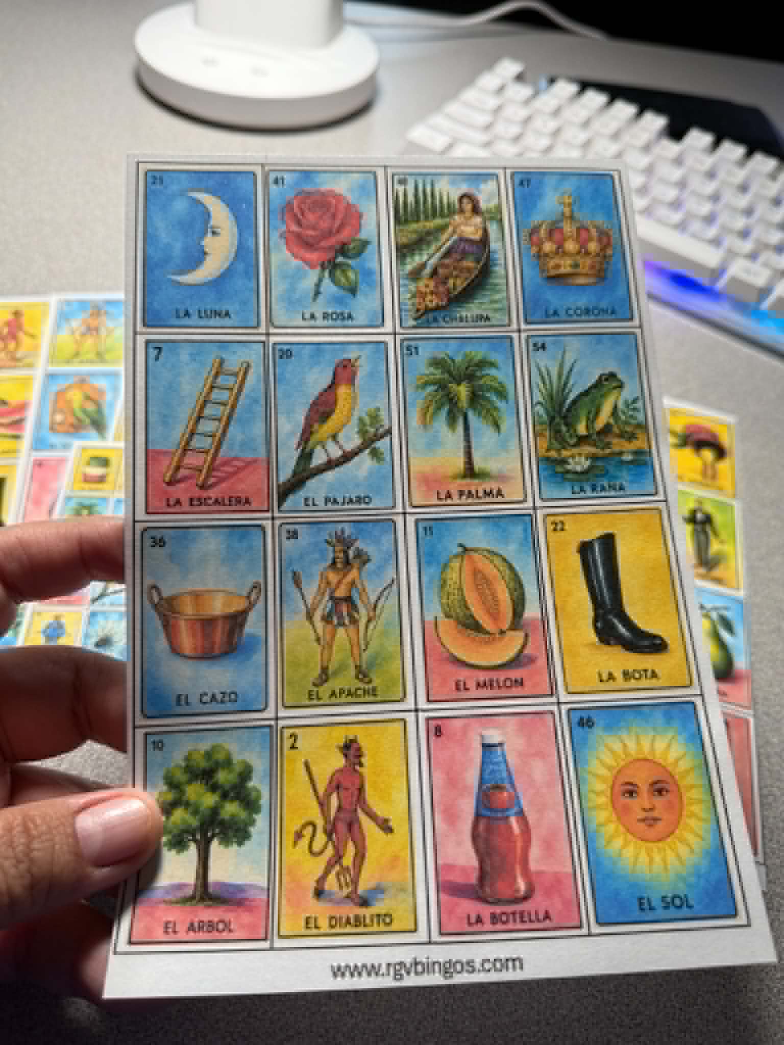 Printed & Laminated Loteria Cards Approximate size 5x7 Inches NO Repeats